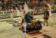 A Tinsul no carnaval de Joaçaba 2011