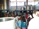 Mais alunos visitam a Tinsul