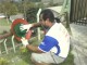 Tinsul em festa mexicana